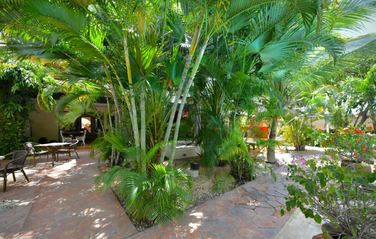 Wonders Boutique Hotel Oranjestad Exteriér fotografie