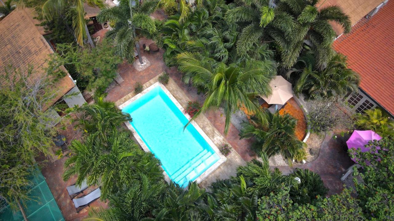 Wonders Boutique Hotel Oranjestad Exteriér fotografie